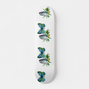 Skateboard Celastrina argiolus (macho)
