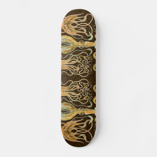 Skateboard Cephalopod Octopus Squid