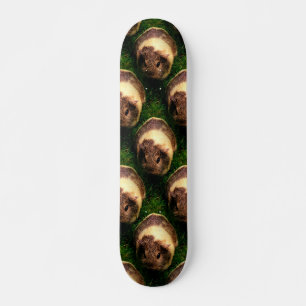Skateboard Cerdo agouti guineano en la hierba