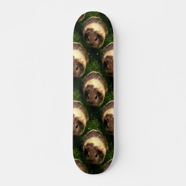 Skateboard Cerdo agouti guineano en la hierba (Anverso )