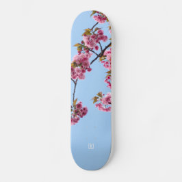 Skateboard Cherry Blossom de Evlear