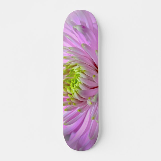 Skateboard chica Lilac/Lavender Dahlia (Anverso )