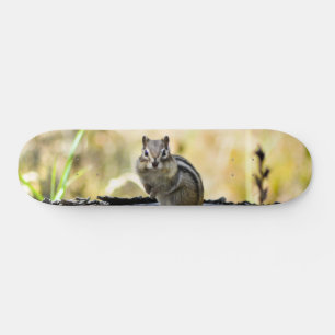 Skateboard Chipmunk lindo