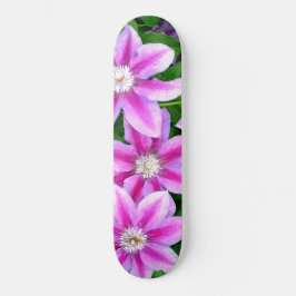 Skateboard Clematis, flores rosas