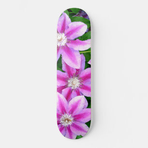Skateboard Clematis, flores rosas