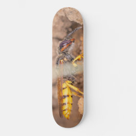 Skateboard Close-up photograph of a wasp