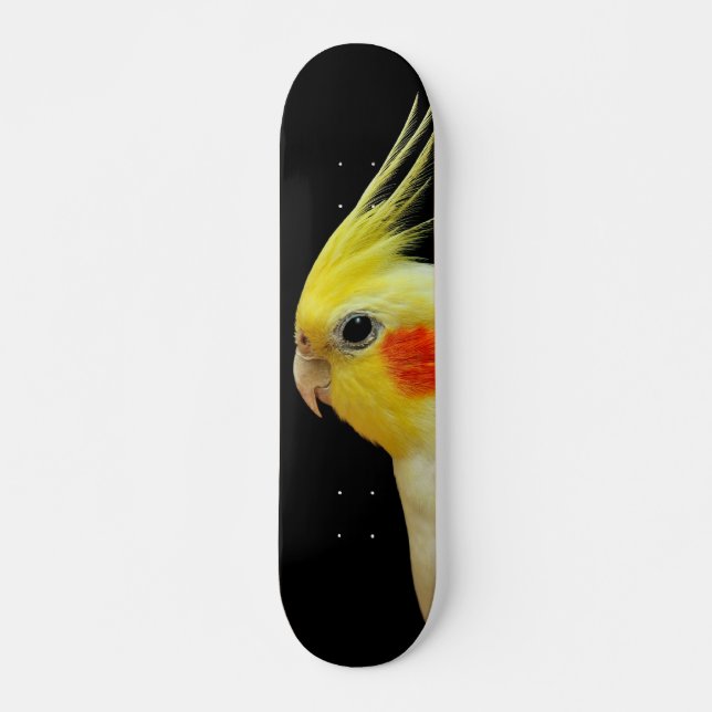 Skateboard Cockatiel de Lutino (Anverso )