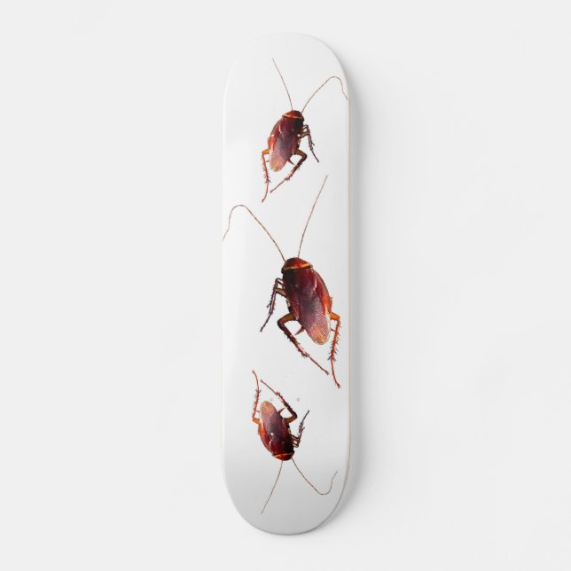 Skateboard Cockroach (Anverso)