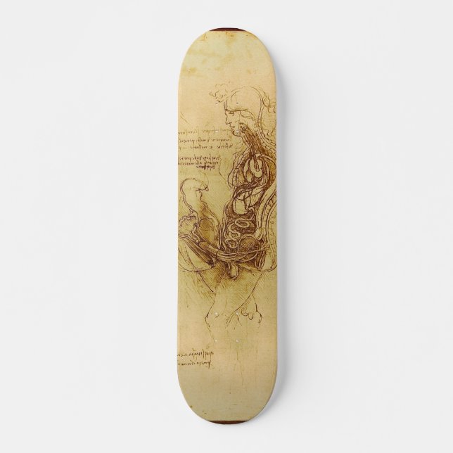 Skateboard Coito de un hombre y de una mujer hemisected (Anverso )