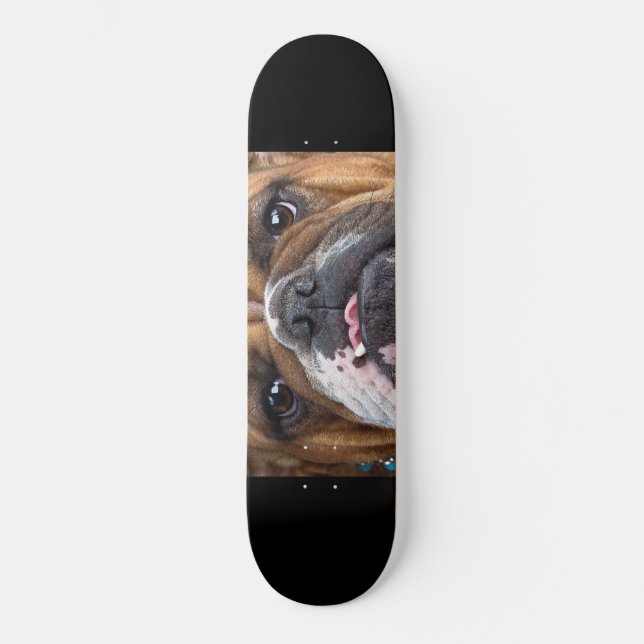 Skateboard Cojín decorativo Bulldog inglés (Anverso)