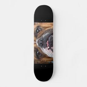 Skateboard Cojín decorativo Bulldog inglés