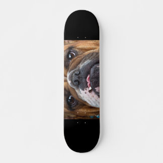 Skateboard Cojín decorativo de Bulldog inglés
