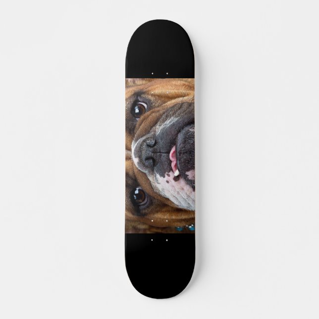 Skateboard Cojín decorativo de Bulldog inglés (Anverso )