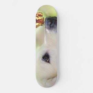 Skateboard Cojín decorativo De Labrador Y Mariposa