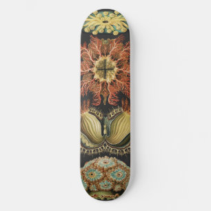 Skateboard Collage de Arte de Vida Marina Náutica de Ernst Ha