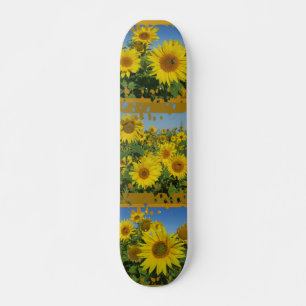 Skateboard collage de girasol en cielo azul verano skatboard