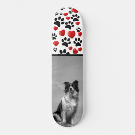 Skateboard Collie