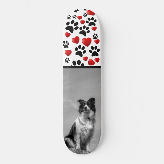Skateboard Collie (Anverso)