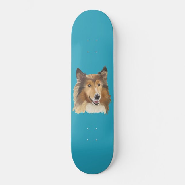 Skateboard Collie (Anverso)