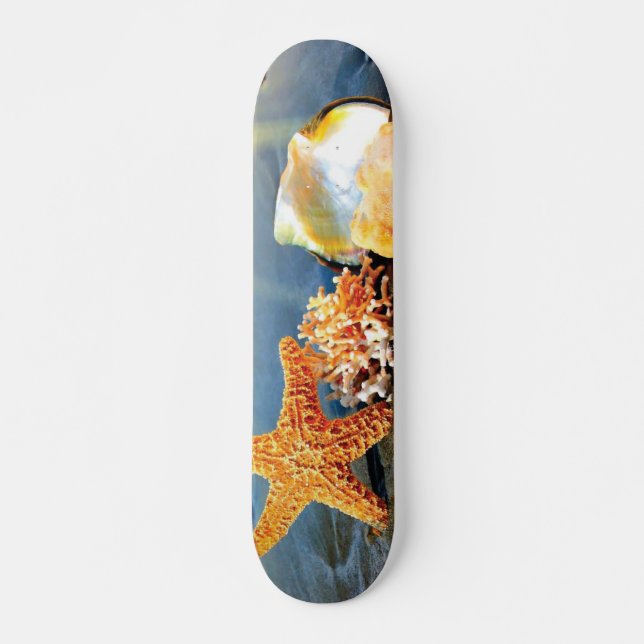 Skateboard conchas de mar y estrellas de mar en la playa (Anverso )