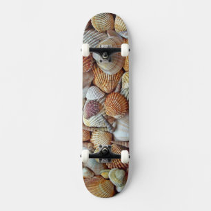 Skateboard conchas marinas