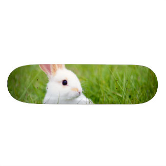 Skateboard Conejo blanco