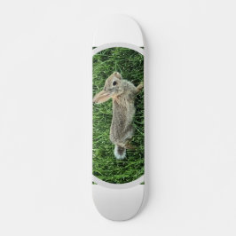 Skateboard Conejo de conejo lindo