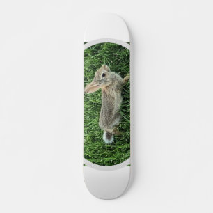 Skateboard Conejo de conejo lindo