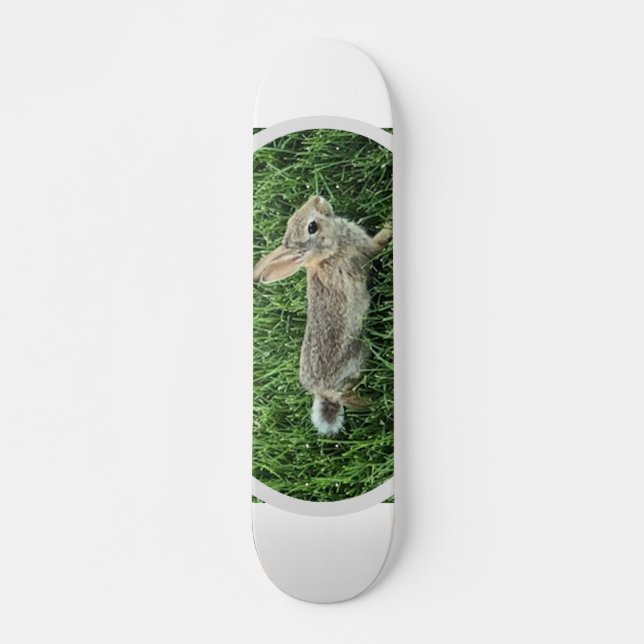 Skateboard Conejo de conejo lindo (Anverso )