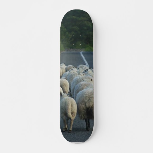 Skateboard Corderos de los caminos de las ovejas (Anverso )