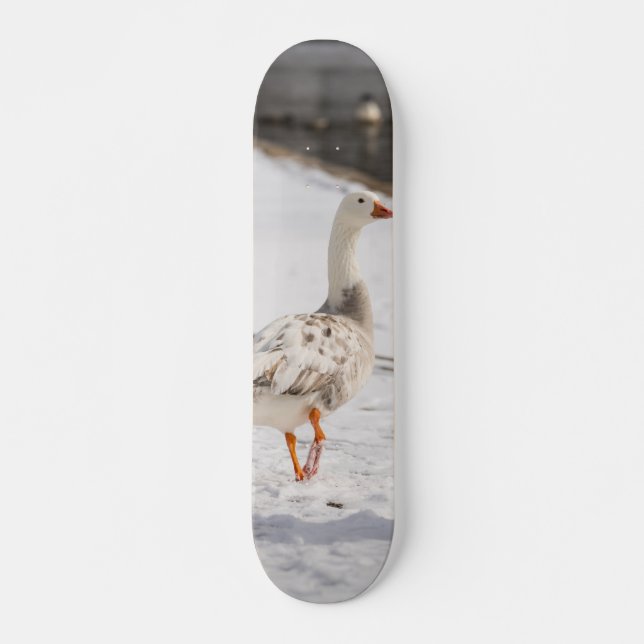 Skateboard Correa de ganso de nieve (Anverso )