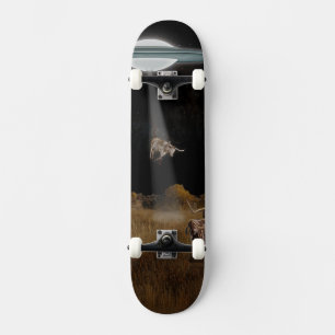 SKATEBOARD COWBOYS ESPACIALES