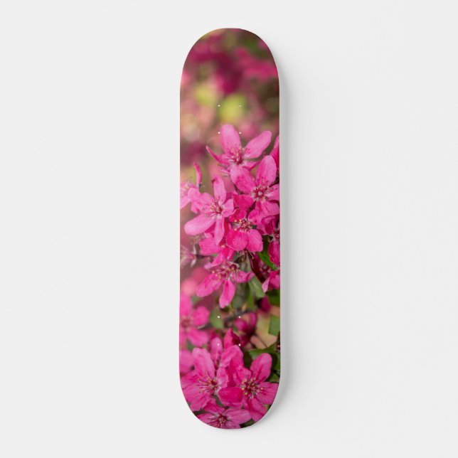 Skateboard Cráter de manzana florece (Anverso )