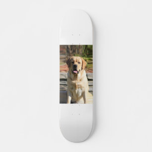 Skateboard Crea tu propia foto de perro Mascota