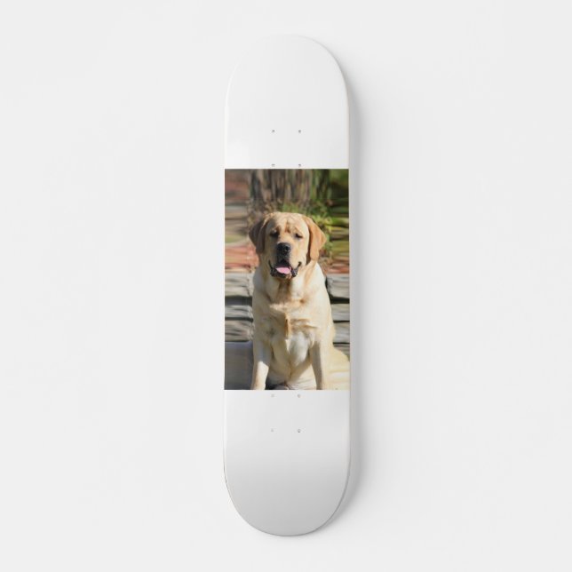 Skateboard Crea tu propia foto de perro Mascota (Anverso )