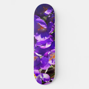 SKATEBOARD CROCUS DE PRIMAVERA