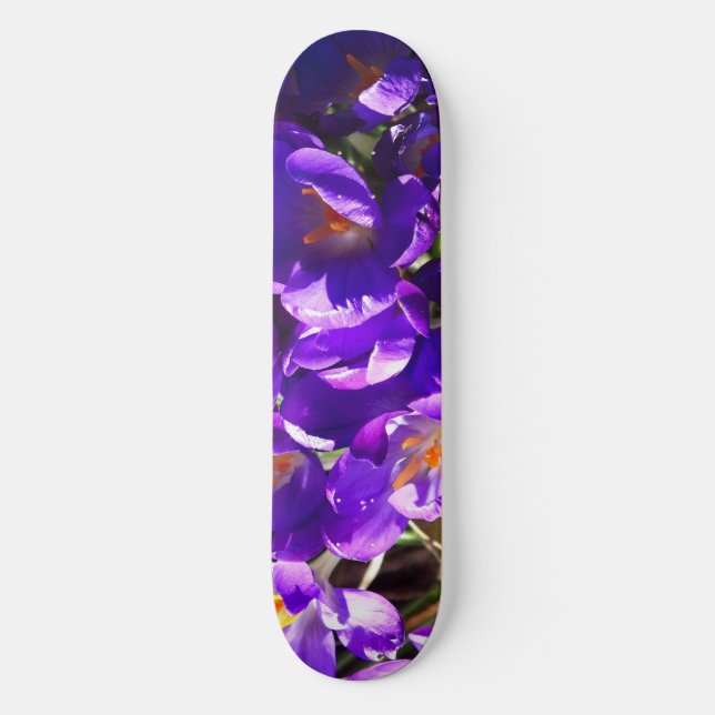 SKATEBOARD CROCUS DE PRIMAVERA (Anverso)