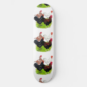 Skateboard Cuarteto de gallos de raza pesada
