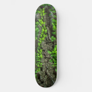 Skateboard Cubierta para patinaje sobre árboles forestales