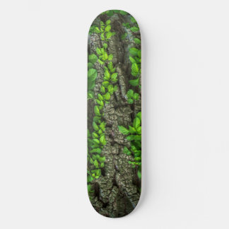 Skateboard Cubierta para patinaje sobre árboles forestales