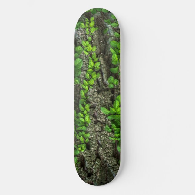 Skateboard Cubierta para patinaje sobre árboles forestales (Anverso)