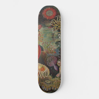 Skateboard Cubiertas de agua - Maravillas del mar - Actiniae
