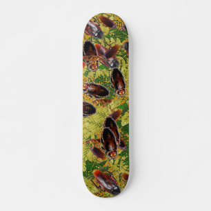 Skateboard Cucarachas