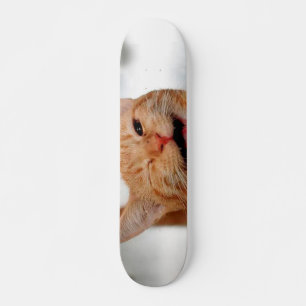 Skateboard Cuidado gato de tabique llorando con un ojo