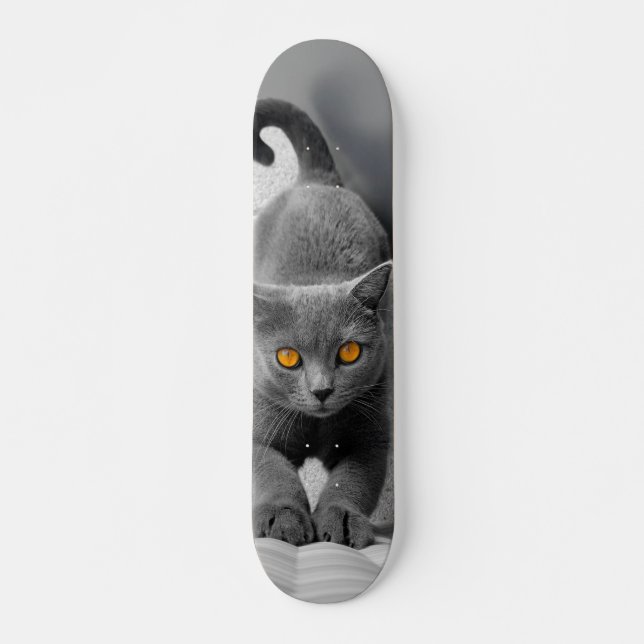 Skateboard Curioso gato británico de pelo corto (Anverso )