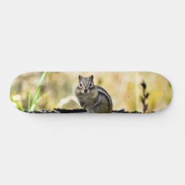 Skateboard Cute Chipmunk