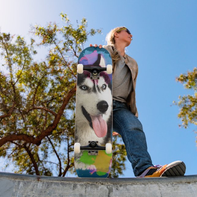 Skateboard Cute Husky. (Exterior 1)