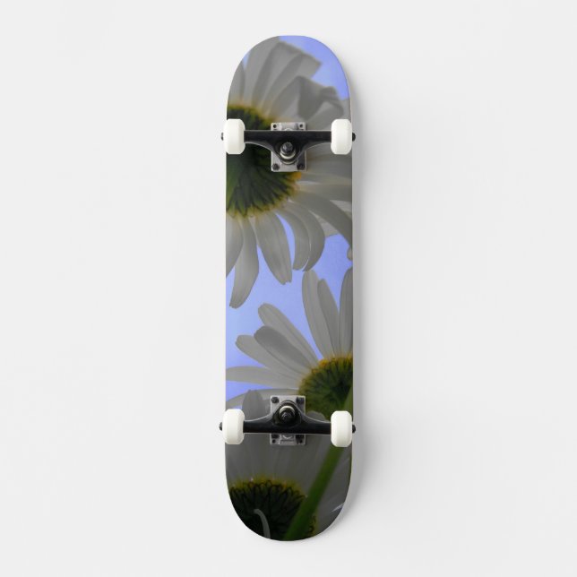 Skateboard Daisy Day (Anverso)
