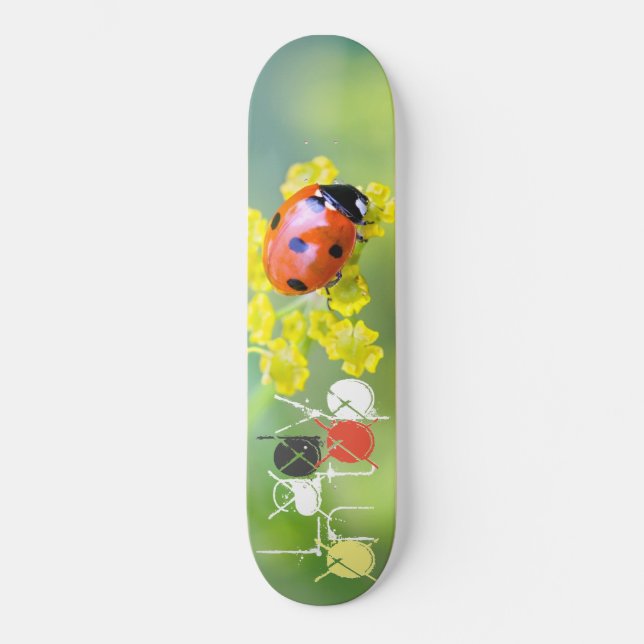 Skateboard dama encima (Anverso)