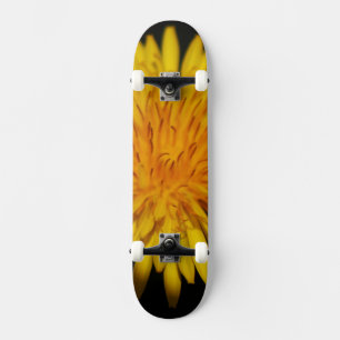 Skateboard Dandelion Flower sdcna